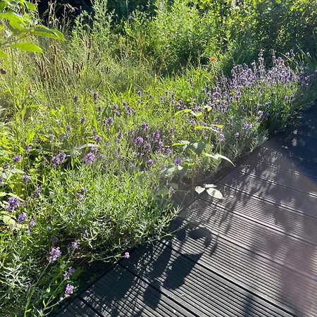 Mily - Redlowo Lägenhet Gdynia