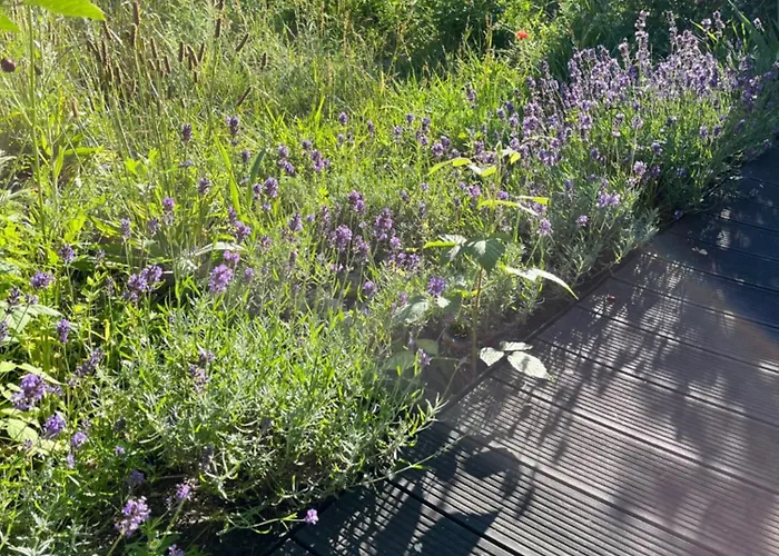 Mily - Redlowo アパート グディニャ